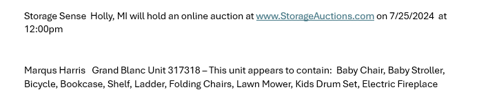Storage auction in Holly, MI