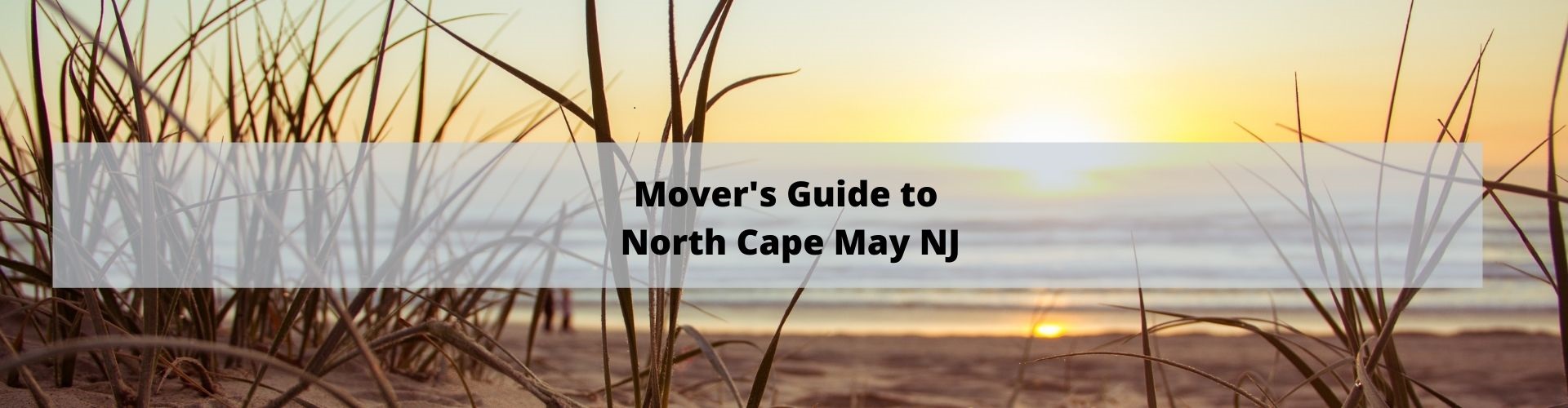 Move North Cape May NJ